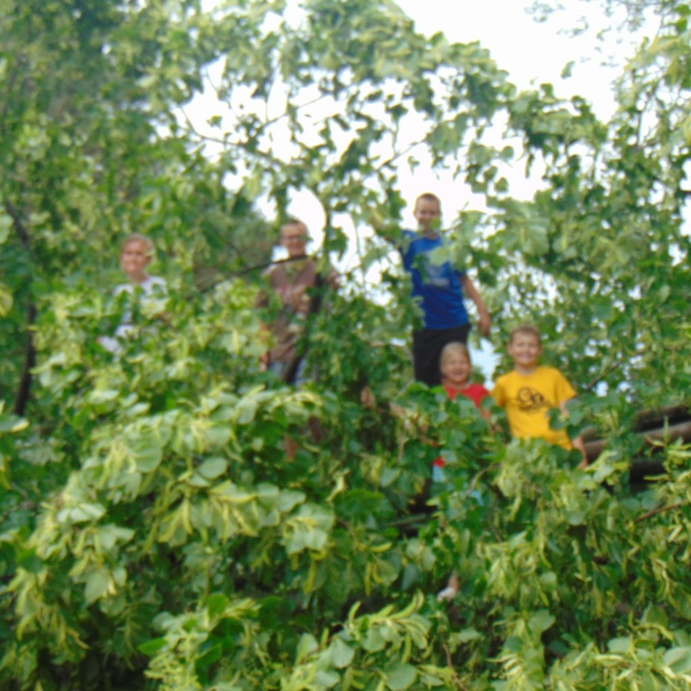 Meet your Posher, Greta